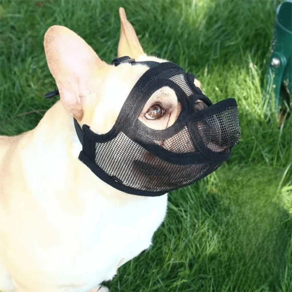 Adjustable Breathable Dog Muzzle Mask – Universal Fit All Breeds Dog Muzzle Mask Nixie