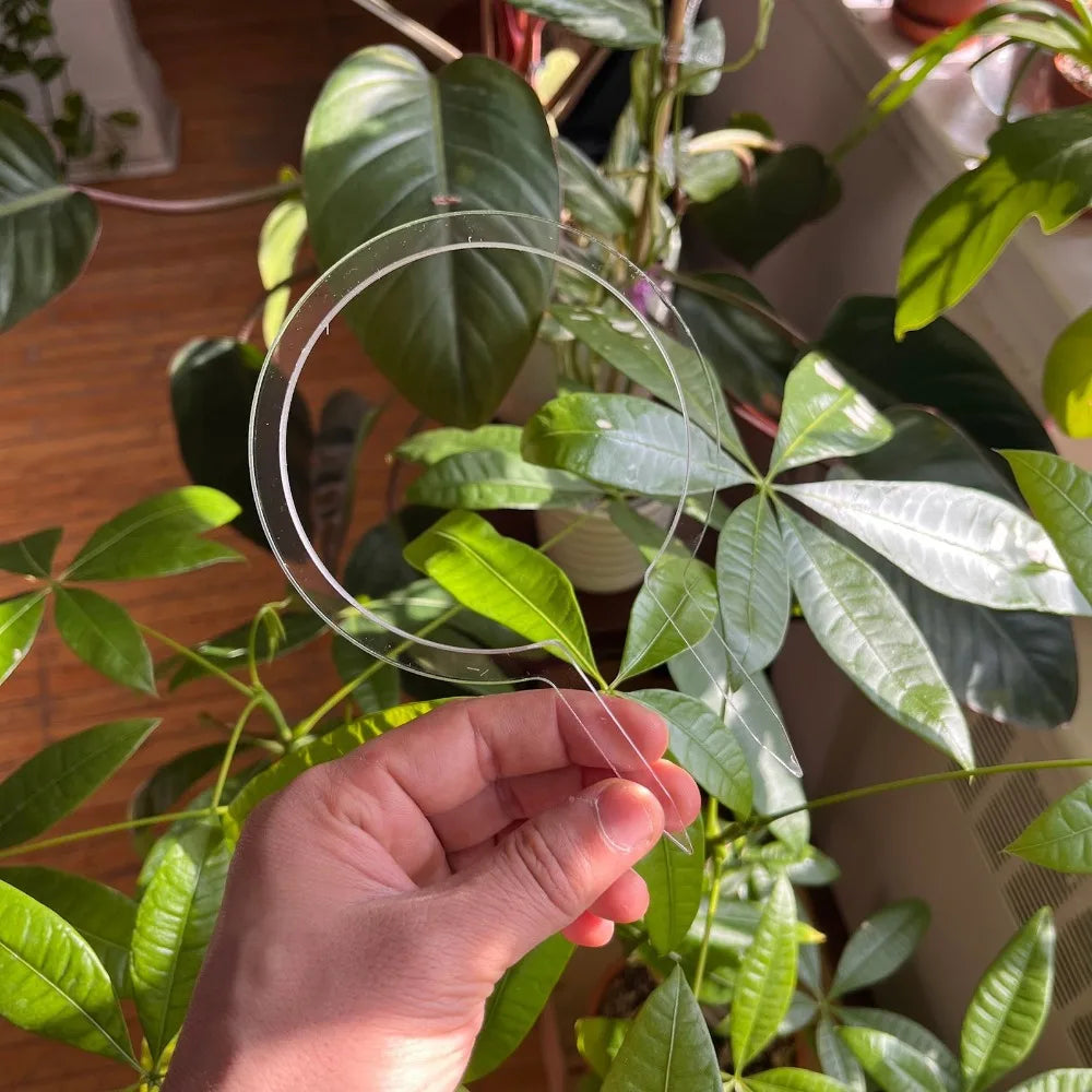 Transparent Round Plant Trellis – Plastic Indoor Support Frame Plant Support Trellis Nixie