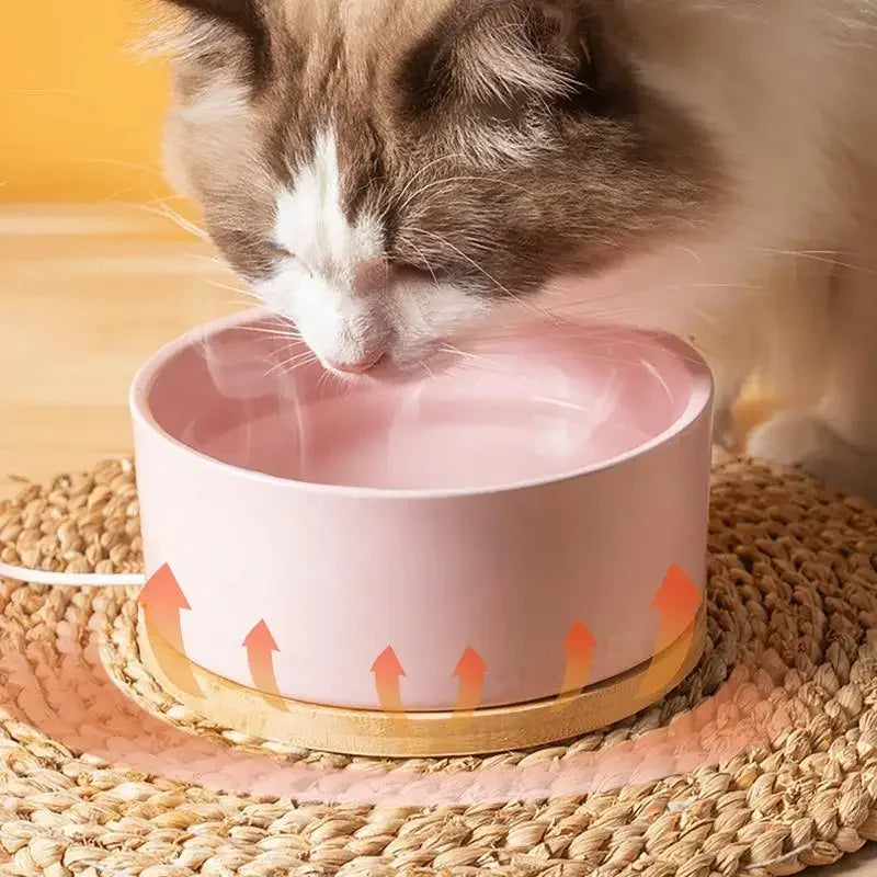 Heated Ceramic Pet Water Bowl – Thermostatic Dog & Cat Feeder Heated Pet Bowl Nixie