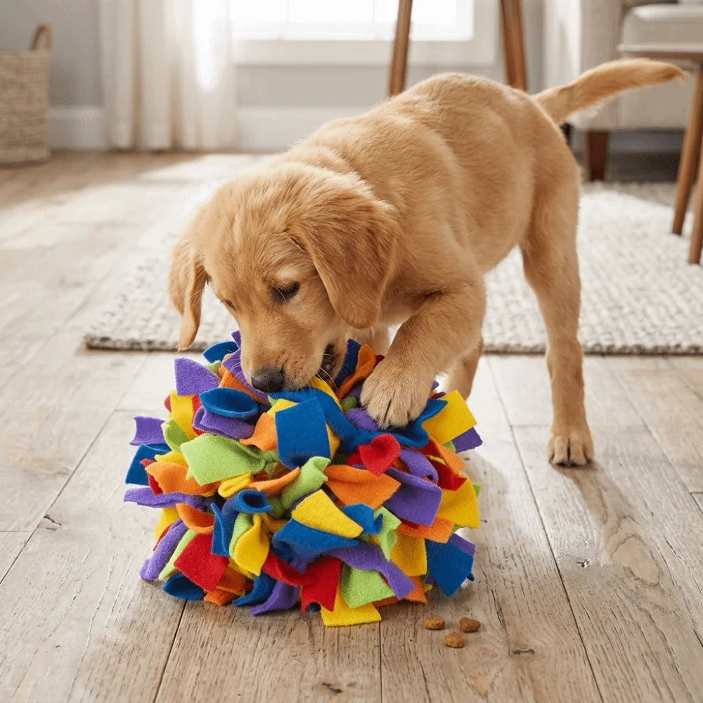 Rainbow Snuffle Ball Dog Enrichment Toy – Brain Training & Slow Feed Dog Enrichment Toy Nixie