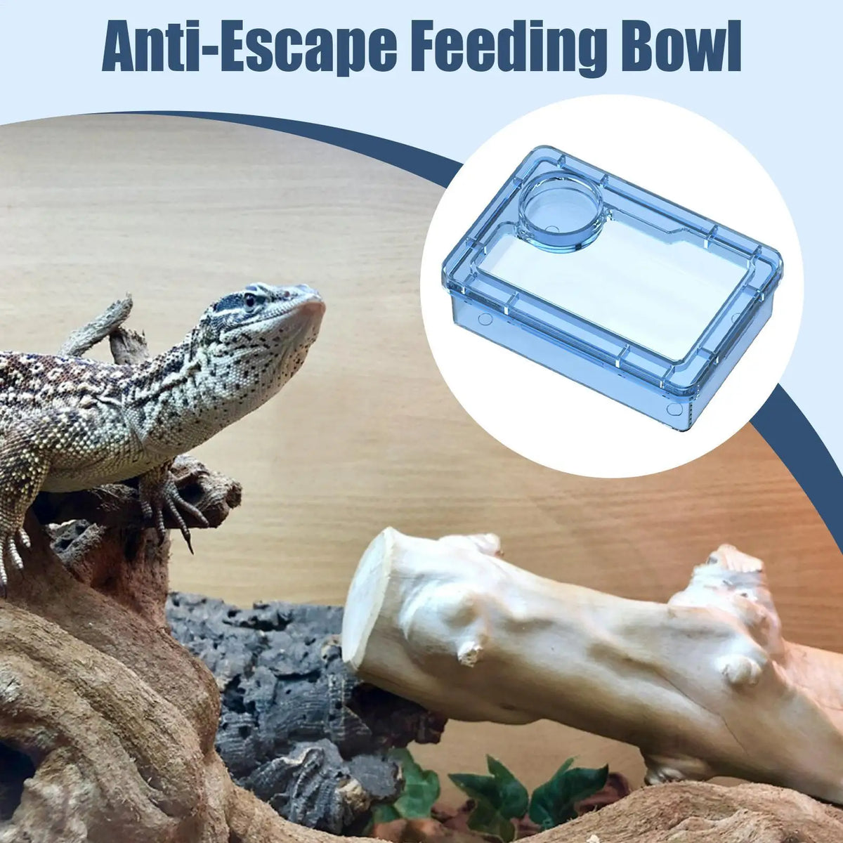 Reptile Escape-Proof Feeding Dish Bowl for Lizards & Iguanas