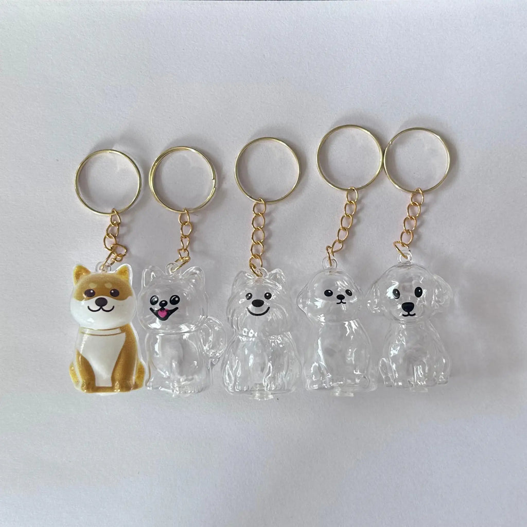 Pet Fur Keepsake Capsule Keychain – Transparent Memorial Locket