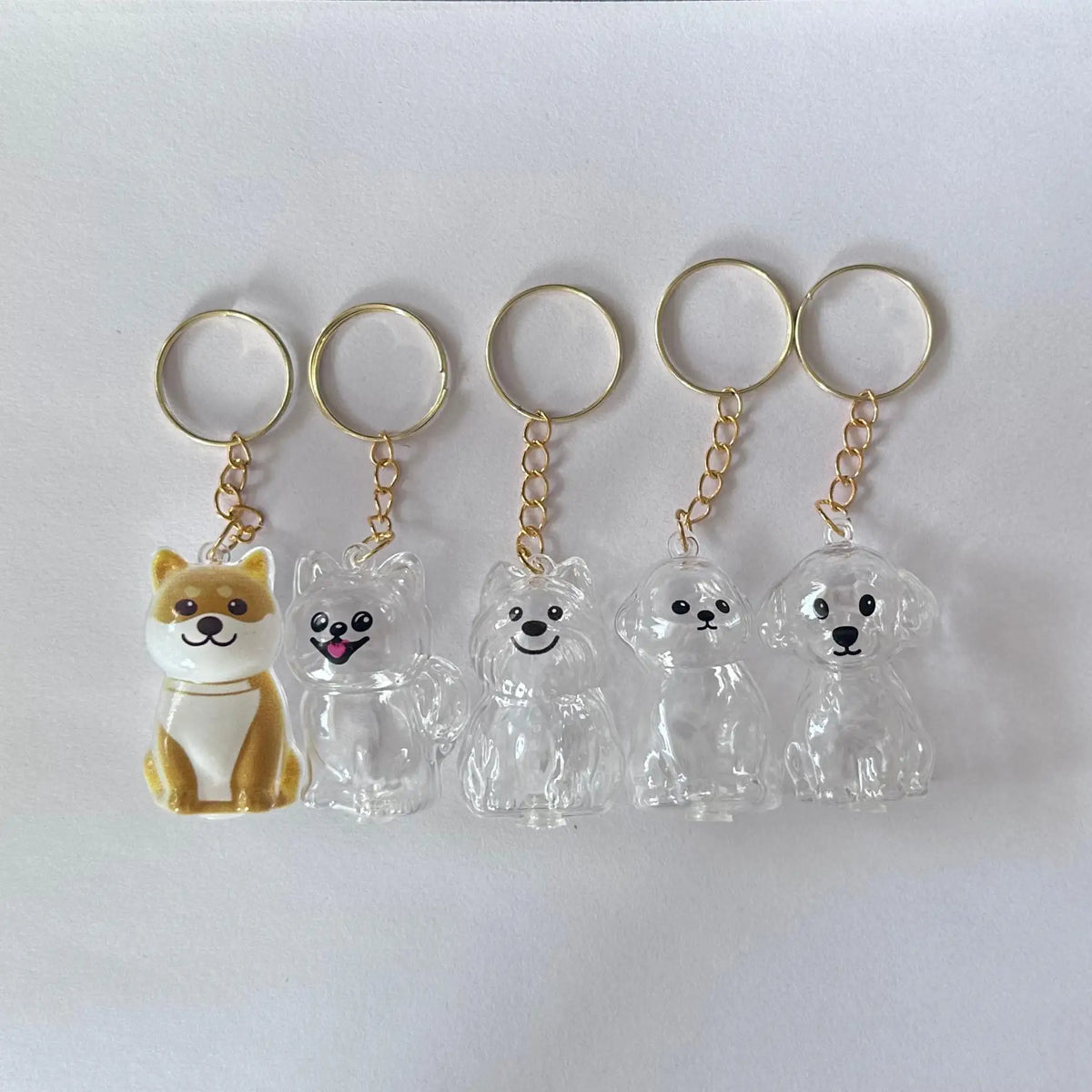 Pet Fur Keepsake Capsule Keychain – Transparent Memorial Locket