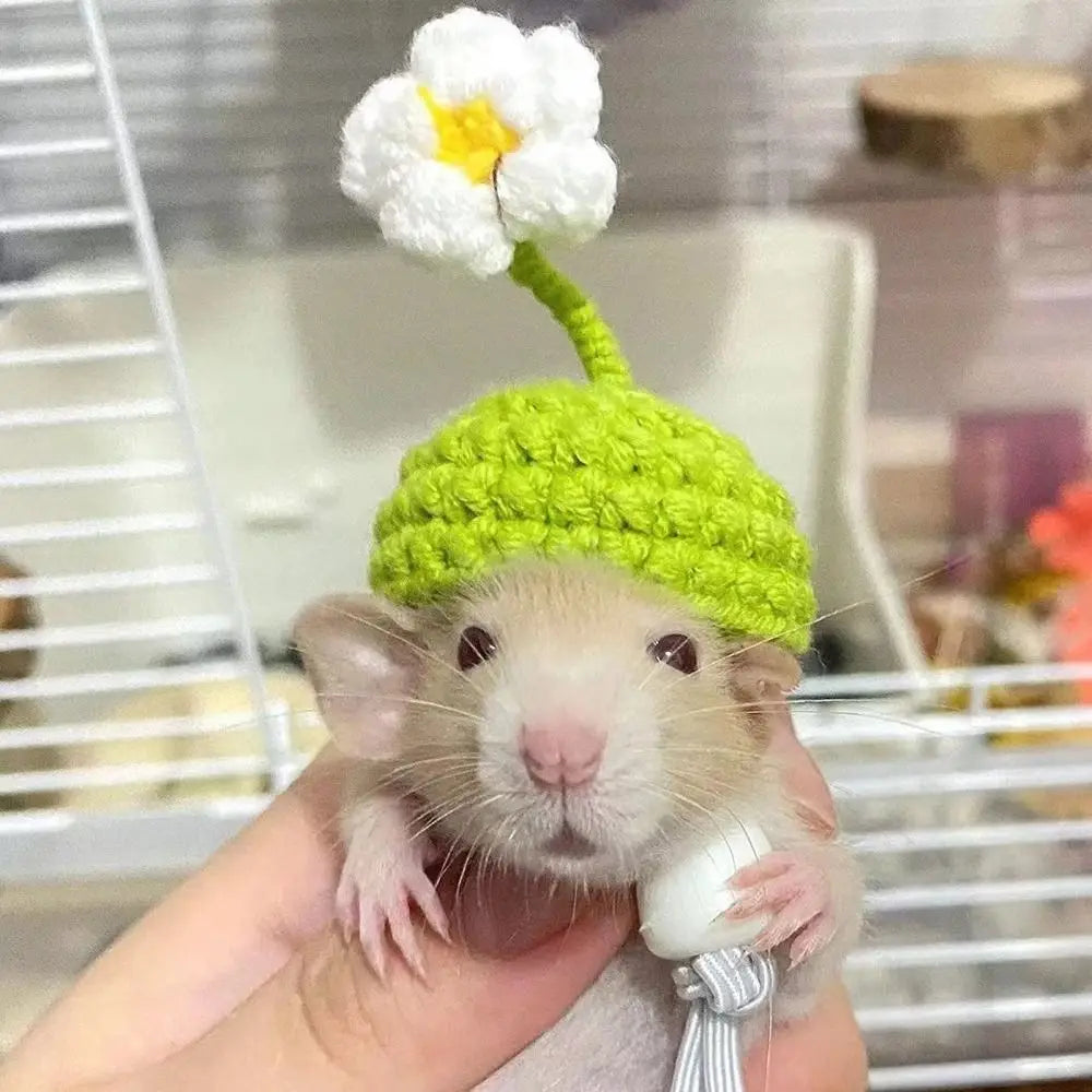 2PCS Handmade Knitted Wool Pet Hats for Hamsters & Parrots Small Pet Hat Nixie