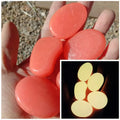 Glow in the Dark Garden Pebbles – 10pcs Luminous Stones 4.5cm Luminous Garden Stones Nixie Dark Orange