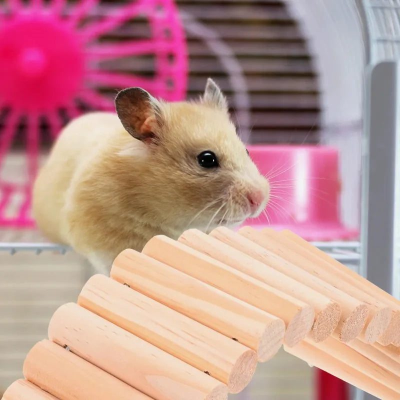 Wooden Hamster Climbing Ladder – Small Pet Training Rack