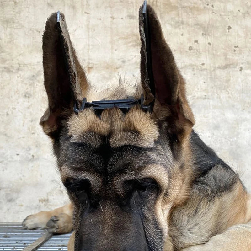 Dog Ear Stand Corrector – Doberman, Samoyed & Great Dane Dog Ear Corrector Nixie