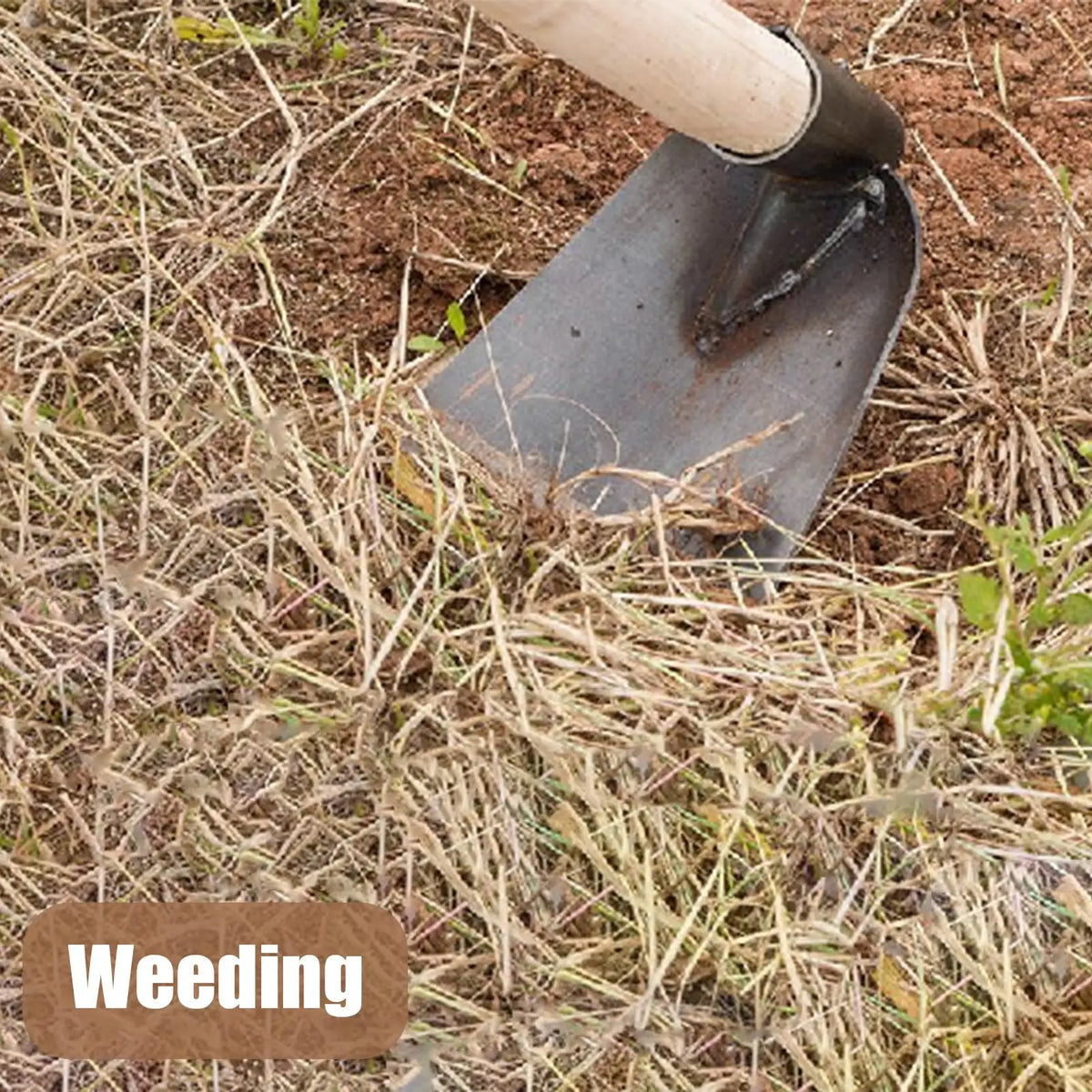 Manganese Steel Garden Hoe – Durable Digging & Weed Tool Garden Hoe Nixie