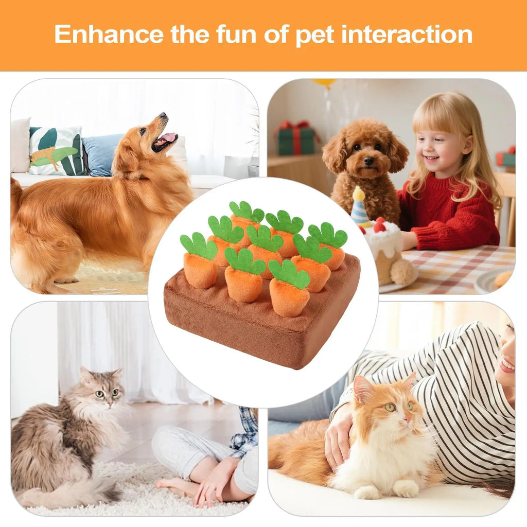 Dog Snuffle Mat Carrot Puzzle Feeding Toy – Dogs & Puppies Pet Puzzle Toy Nixie