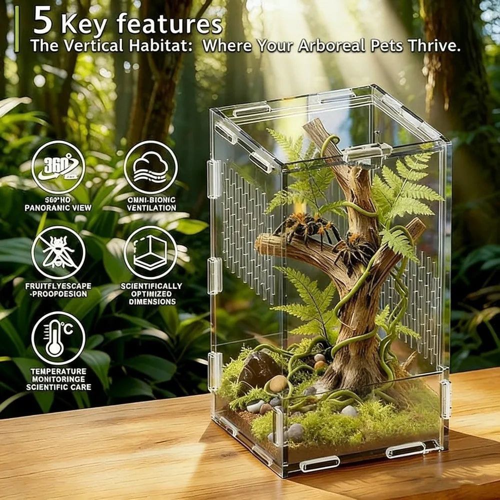 Acrylic Jumping Spider Enclosure – Escape-Proof Reptile Habitat Reptile Enclosure Nixie