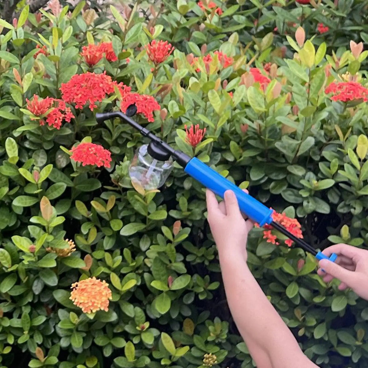 Handheld Powder Duster Applicator & Telescopic Pollinator Tool