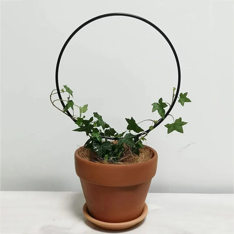 Iron Garden Trellis – Black Rust-Proof Climbing Plant Support Plant Trellis Nixie
