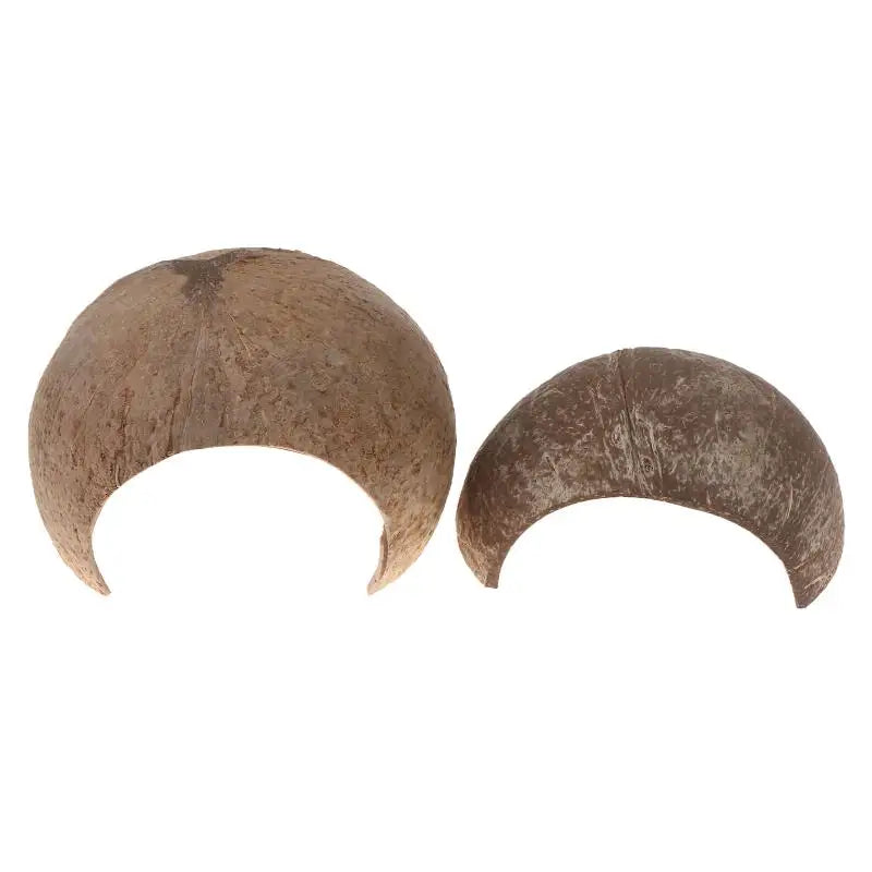 Coconut Shell Reptile Hideout Hut for Aquarium & Terrarium Reptile Hideout Nixie