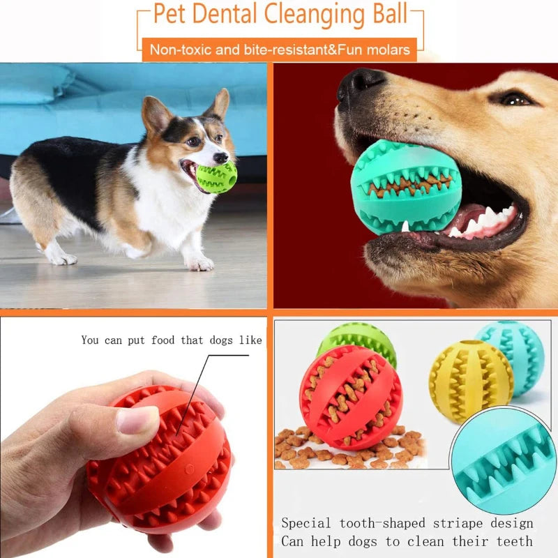 Interactive Rubber Dog Chew Ball – Treat Feeder & Dental Toy