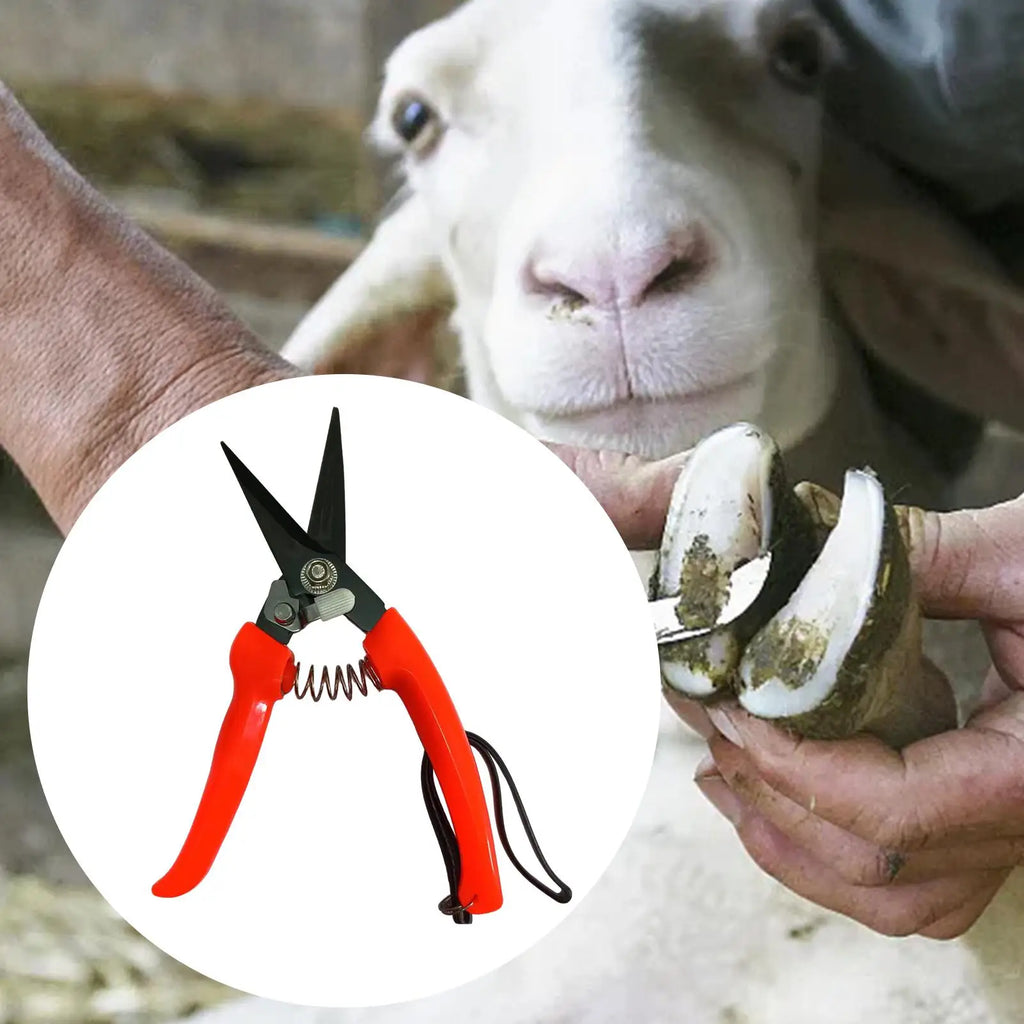 Sheep & Goat Hoof Trimmers – Stainless Steel Shears Hoof Trimming Shears Nixie